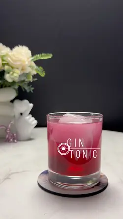 Gin Tonic
