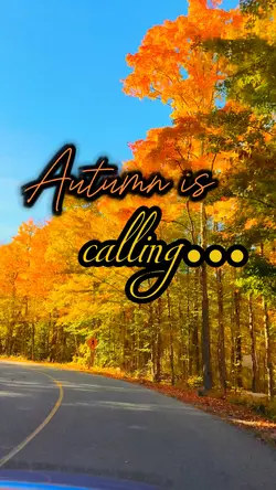 Autumn is calling