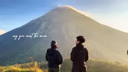 risk it all-bruno