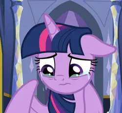 my little pony
