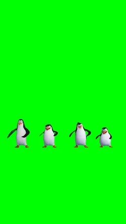Pinguin dancing