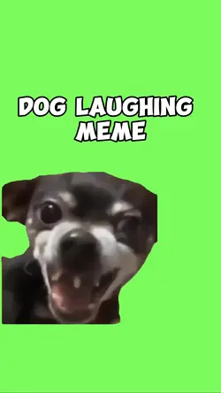 Dog Laughing Meme