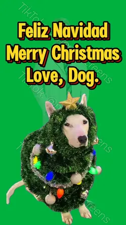 Feliz Navidad Dog