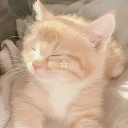 cat edit