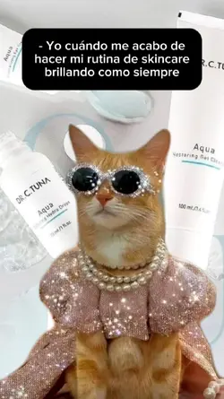 Skincare Meme