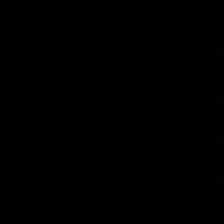 blackpink 9th anniv