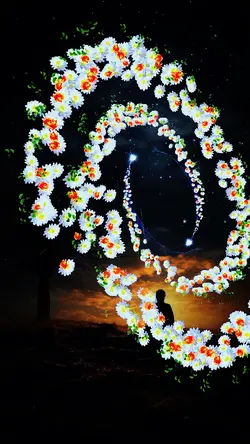 Flower Diffusion