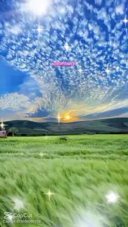 ឱបបងមុនបែក