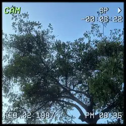 camcorder