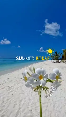 summer recap