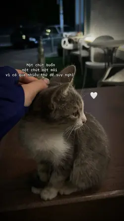 1 ảnh captions 