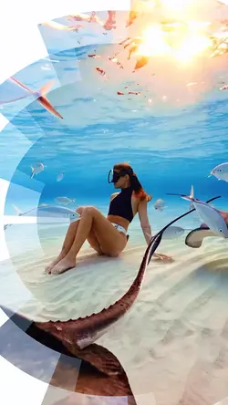 Travel 2024 