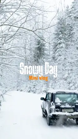 Snowy Day 