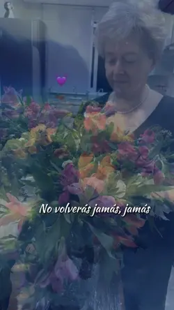 No volverás jamas