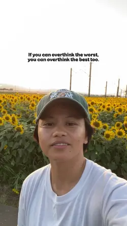 Sunflower & sunset