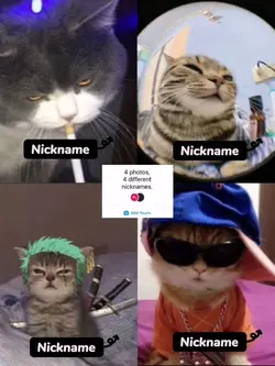 4pics trend