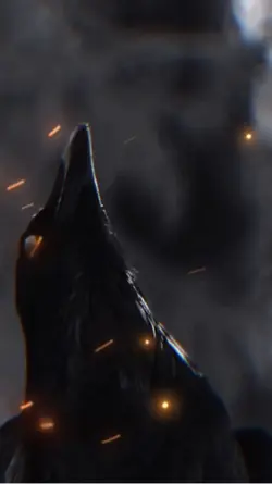 Raven