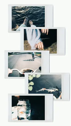 5 frame polaroid 