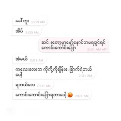 cute chat