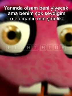 CiddenÇokŞirin