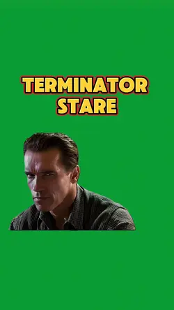 Terminator Stare