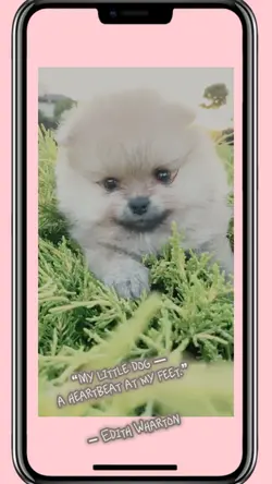 puppylove