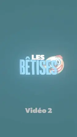 Bêtise - Franglish 