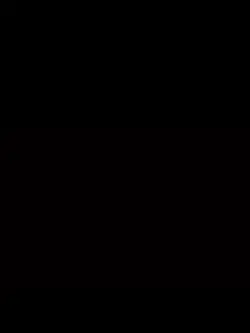 FVRT TEMPLATE 