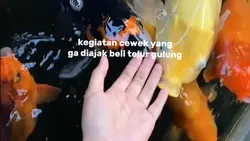 BELI GULUNGGGG