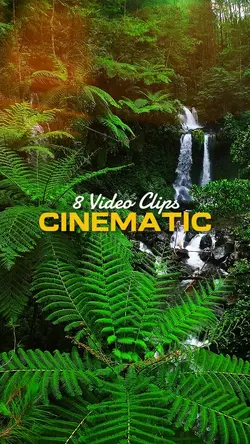 8 Video Clips