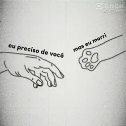 Sem palavras