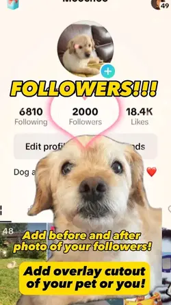 Followers goal!!