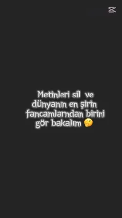 Metinleri sil