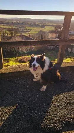 paesaggio a dicembre