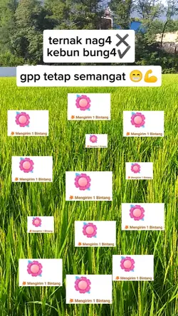 fbpro kejor4