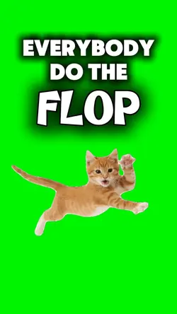 Do the FLOP cats