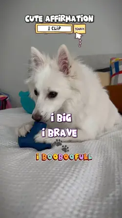 I’m BigBraveBootiful