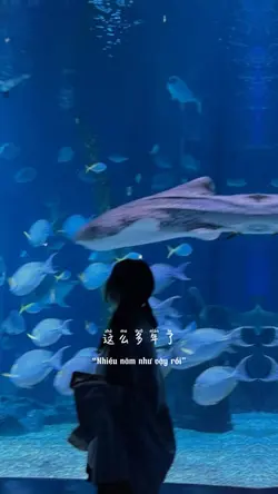 这么多年了，我还忘不了你