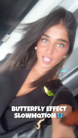 Butterfly Filter