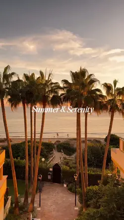 Summer Vibes