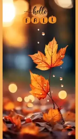 hello fall 