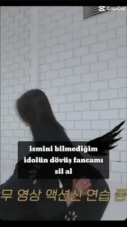 dövüş fancamı sil al