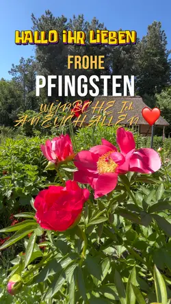 Pfingsten Sonntag 