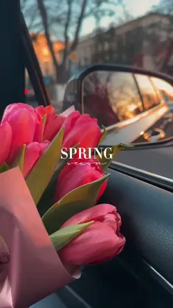 Spring