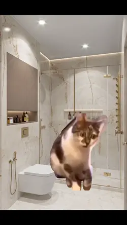 Meme kucing bengong
