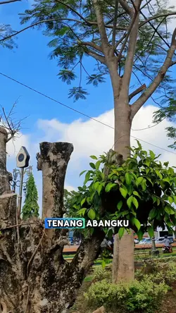 MENYALA ABANGKU