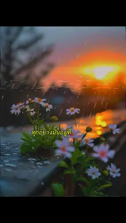 จังหวัชีวิตนน