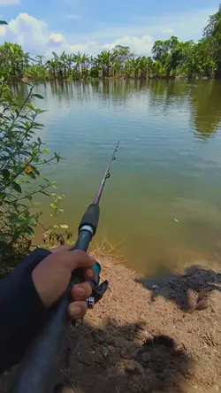 Angler