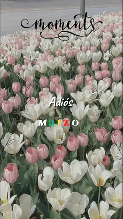 Adiós MARZO 