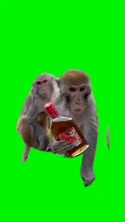 Io e bro il sabato